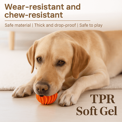 FeedMate SmartBall™ – The Bouncing Fun Ball for Your Pet! – Smart Automatic Feeder for Cats and Dog toys | Feedmate
